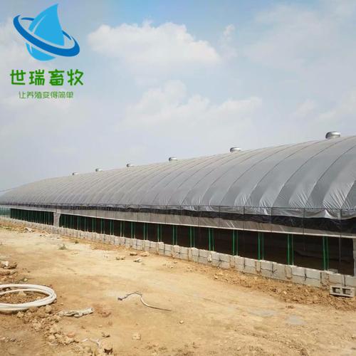 肉鸭养殖大棚 蛋鸭大棚建设 鸭棚建设成本