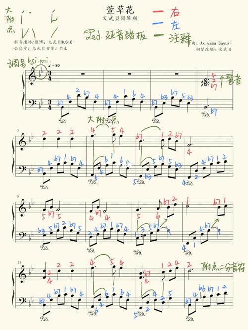 《你好,李焕英》插曲《萱草花》钢琴谱附注释95_钢琴谱_钢琴_演奏