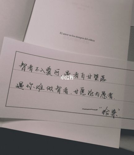 『手写』78智者不入爱河,愚者自甘堕落97_高雄爱河_练字_风景