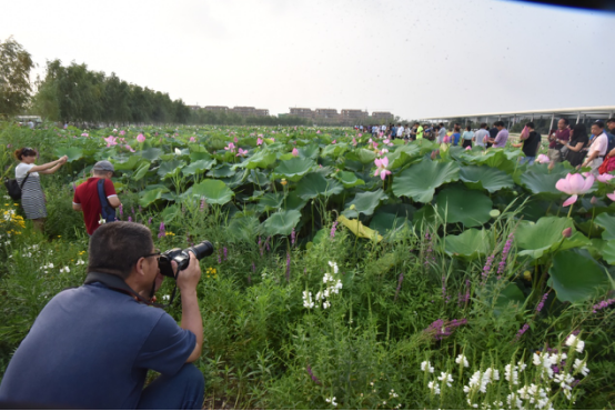 白鹭湾艺游小镇