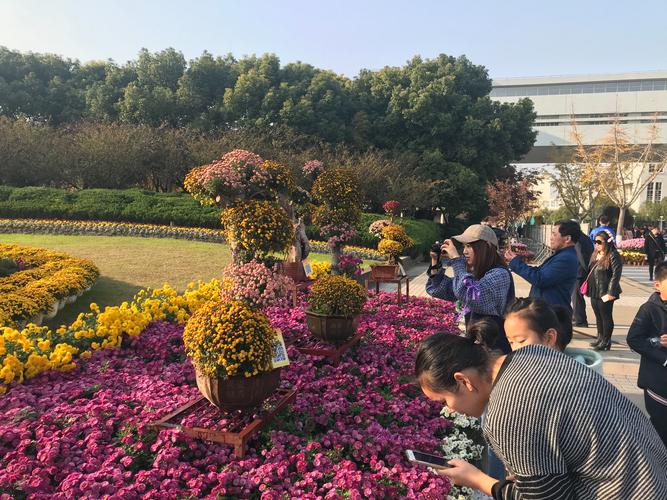 上海大学第十六届菊文化节20181124
