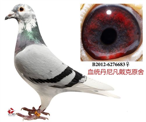 母亲;丹尼凡戴克