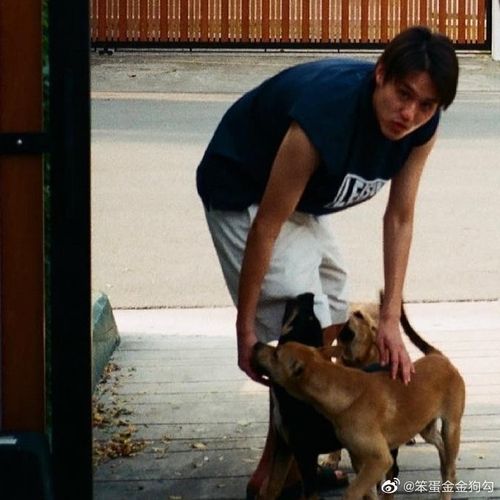 马群耀胶片杀人事件