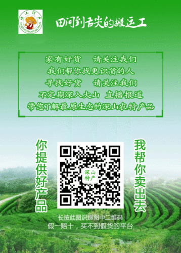 纯手工红薯粉丝 大别山农家自制特产天然山芋粉丝 粉条500.