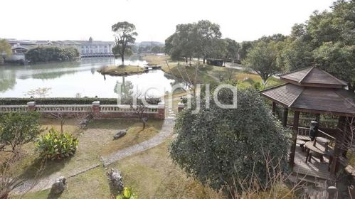 虹山半岛 南邻天然大河 南花园 随时看房