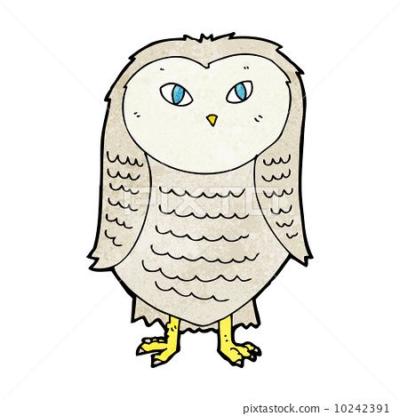 cartoon owl