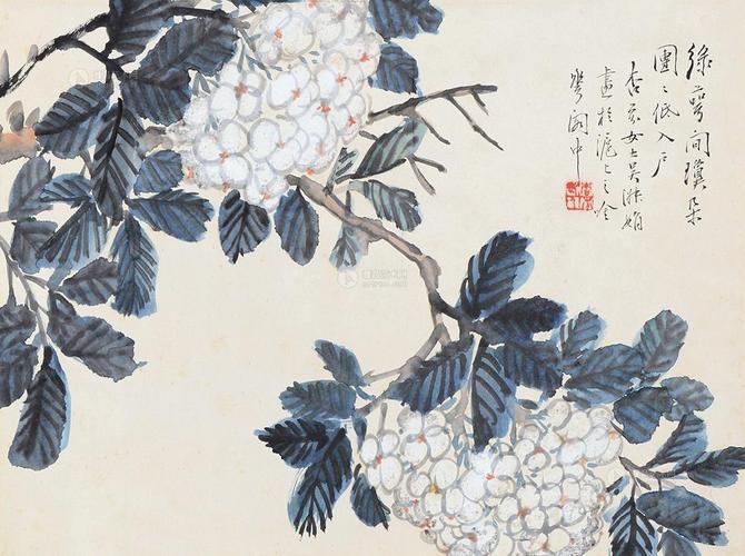 0009绣球花立轴设色纸本