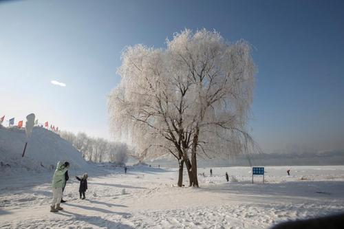 1月23日,游人在吉林省吉林市松花江畔观赏雾凇景观.