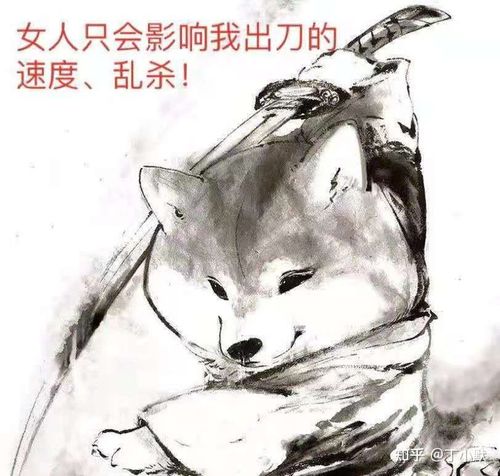 网络小说剑来我叫阿良善良的良我是一名剑客