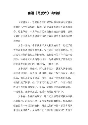 鲁迅《范爱农》读后感
