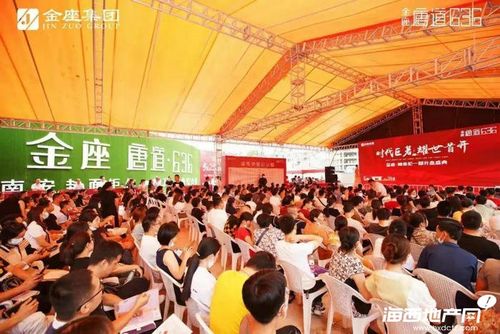 千人抢房!金座·唐道636首开大捷,震撼南安