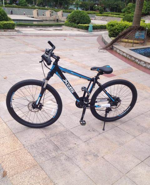 全新喜德盛逐日300