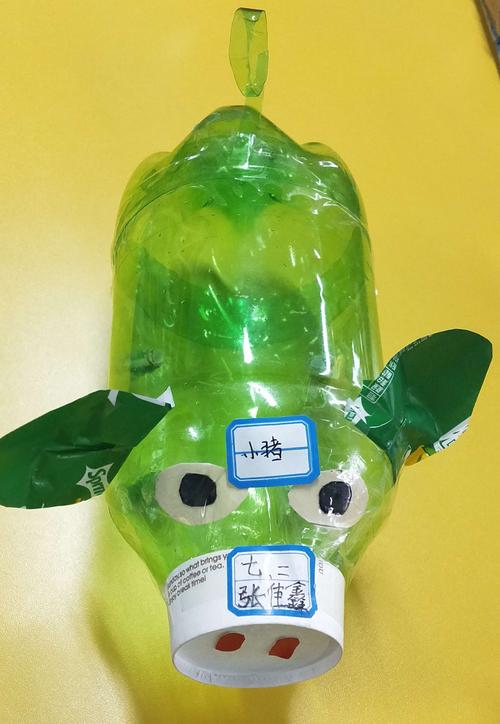 小手拉大手,发明创造进万家"科技作品 写美篇   为了全面提高学生的