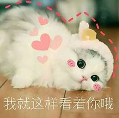 表情| 教你怎么向男友要零花钱