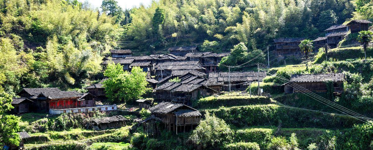 高岭位于伊家乡笔架村,是一个海拨七百多米的高山自然村.