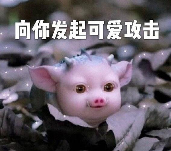 i当康