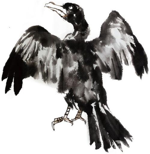 水墨鸬鹚的绘画技法(3)_国画教程_学画画_我爱画画网