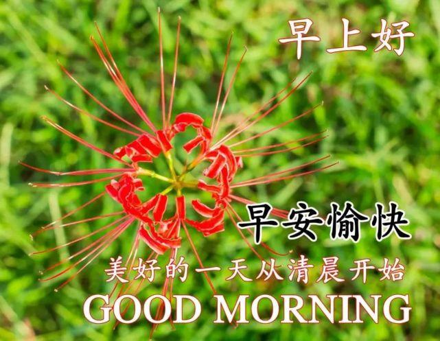 2022年1月2日早安祝福图片带字 周末早上好问候语动态