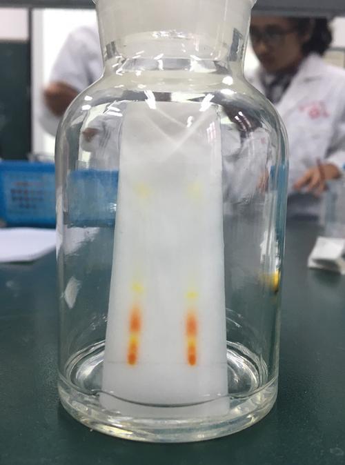 薄层色谱和色谱分析实验