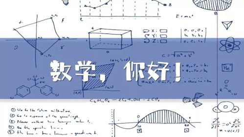 今天314国际数学节这样的数学题很聿初