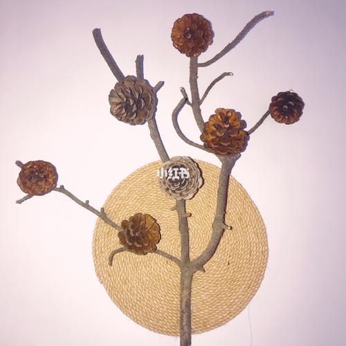 diy 松塔麻绳工艺品艺术树枝_工艺品_艺术_家居家装_家居装饰_家居