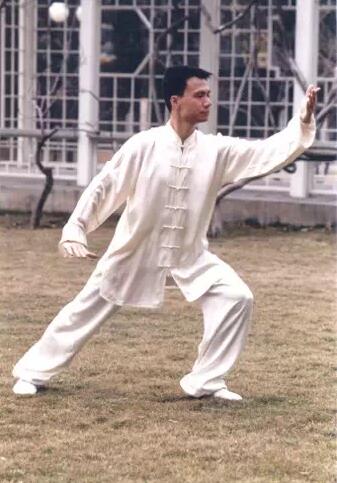 陈思坦太极拳势