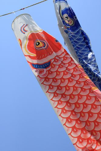 日本节日庆祝的鲤鱼旗图片 - 第7张