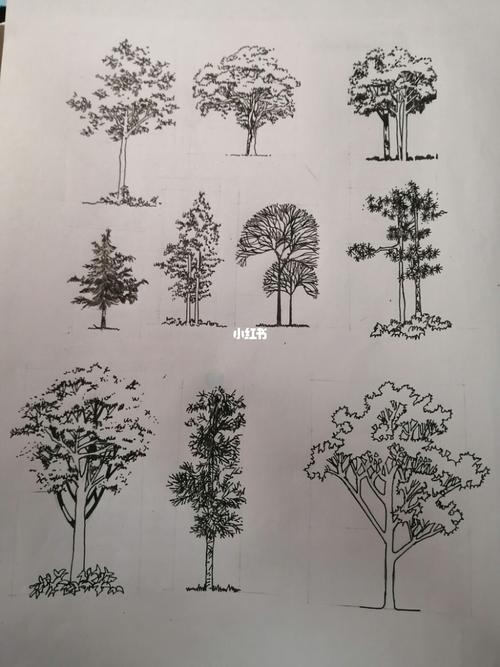 园林手绘树的线稿练习(1)_园林_手绘_线稿_园林手绘_文化_绘画