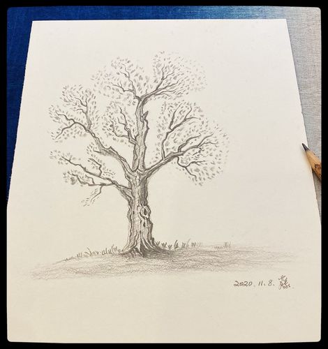 素描时间