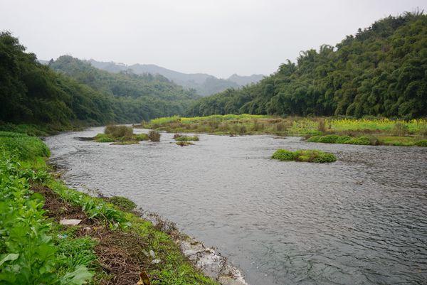第53条路:1506#四川沐川县炭库乡茶林村5组佛耳岩公路(拼单)