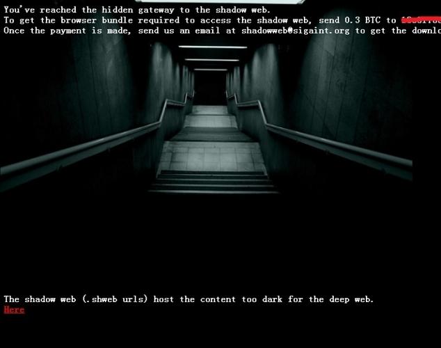 《a warning to those thinking about accessing the shadow web》