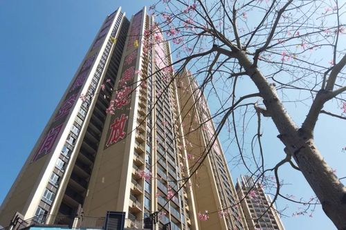 深圳坂田华晖瑞禧开盘当天遭到疯抢华晖瑞禧有这么好吗