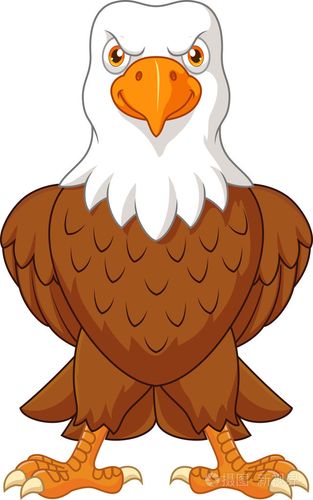 卡通秃鹰构成白色背景上孤立