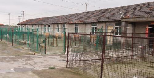 广州金源犬舍 - 搜狗百科