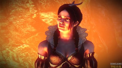 口味比较重巫师2众女性npc一览