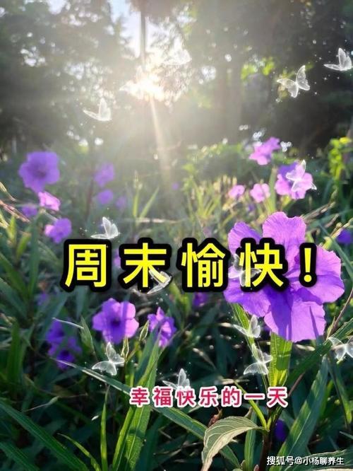 原创周末早安唯美祝福语很甜很温馨送好友必备