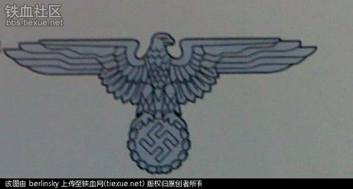 二战时期党卫军帽徽