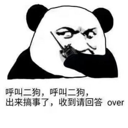 呼叫二狗,呼叫二狗,出来搞事了,收到请回答over_二狗