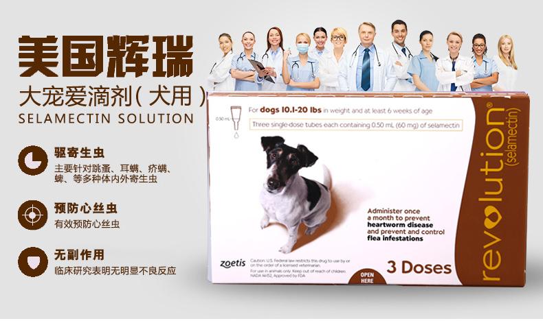 美国辉瑞硕腾大宠爱犬用体外驱虫药60mg一盒 5-10kg驱虫药跳蚤商品
