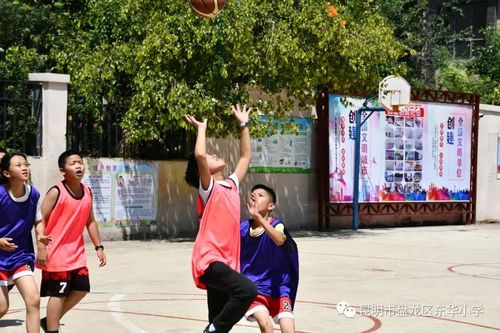 东华小学田园校区篮球赛事光影系列