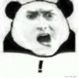 魔性熊猫头表情包 动态版
