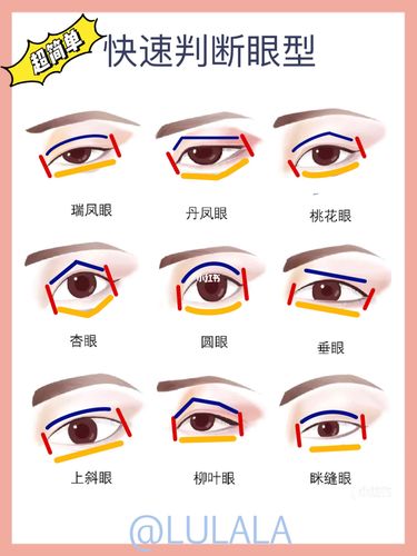 简单快速判断眼型的方法
