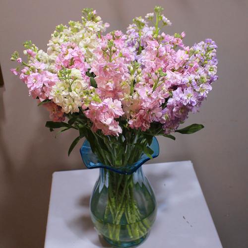 鲜花插花班鲜花插花瓶一天时间怎么焉了以下关于鲜花插花特点说法