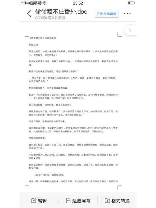 偷偷藏不住新婚番外_文化