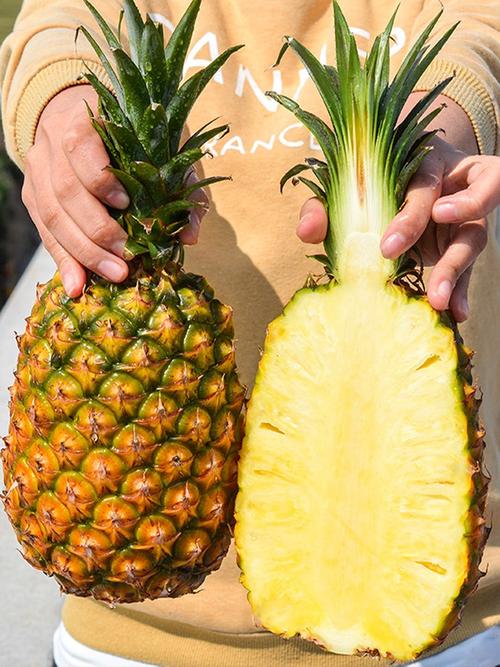 海南金钻凤梨新鲜水果包邮10斤当季手撕凤梨无眼大菠萝风梨整箱