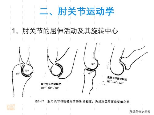 肘关节运动学