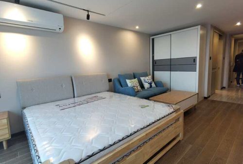 中赢云际精装单身公寓,稀缺房源,首次出租,图片.