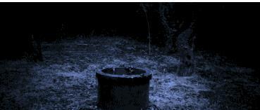 刚上映时在日本吓死了几个人,以至于制片方不得不删掉了其中的一些