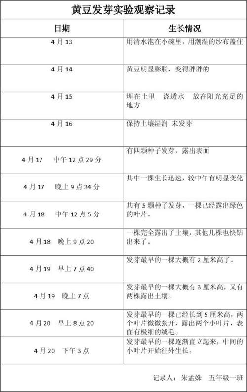 黄豆发芽实验观察记录