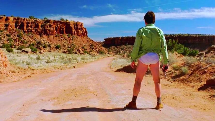 breaking bad mr white